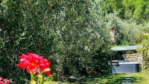 Ein Garten mit roten Blumen und einer Steinmauer.