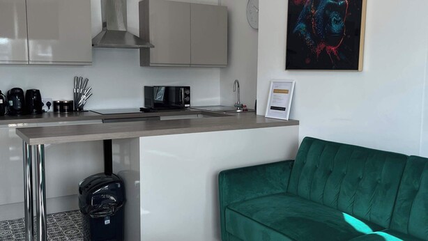 Una cucina moderna con forno a microonde, lavello e pensili in acciaio inossidabile. Nell'area soggiorno, un divano verde e un tavolino in legno.