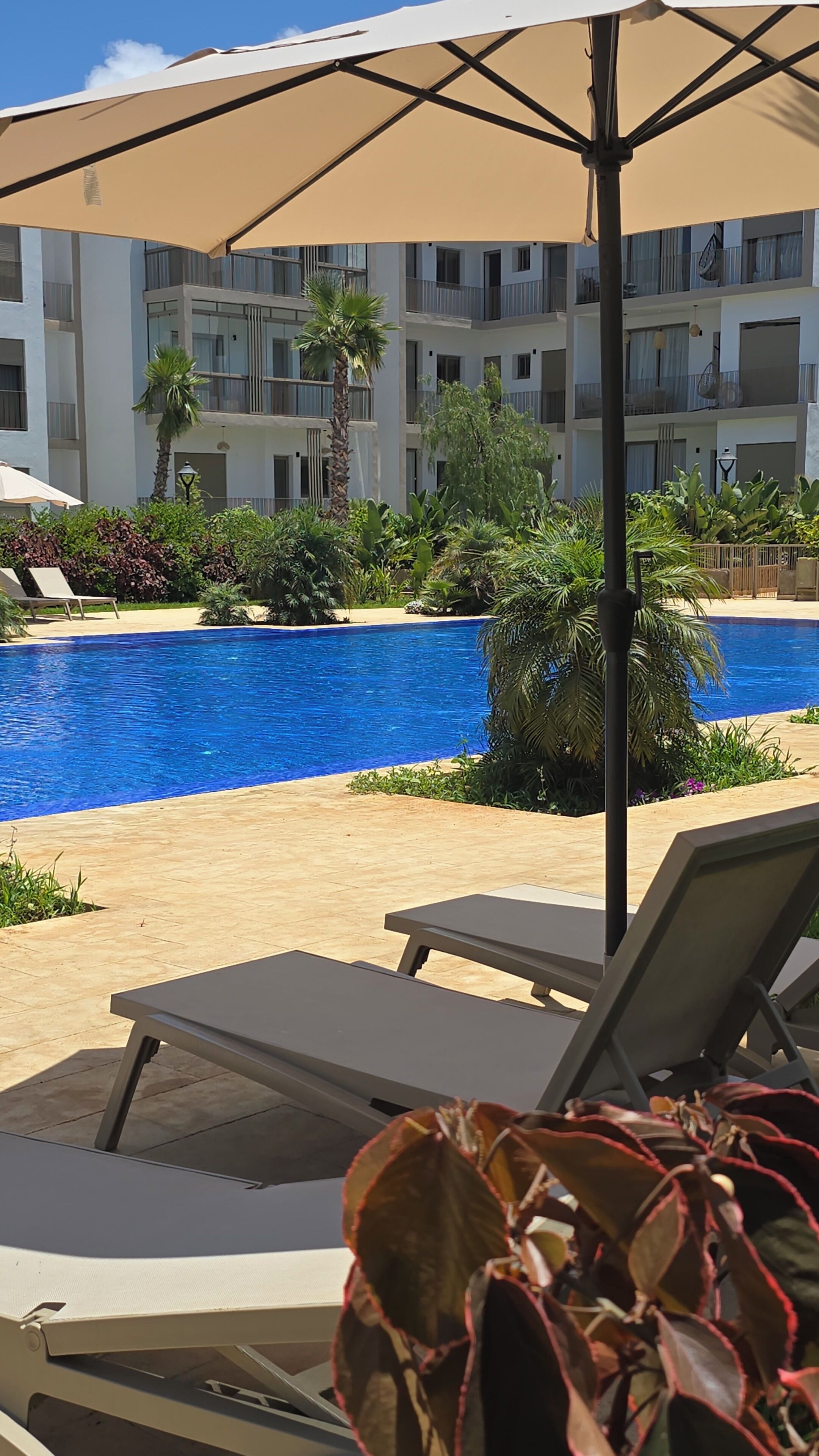 A swimming pool with lounge chairs and umbrellas, surrounded by greenery and a multi-story building.