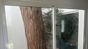 Eine Glasschiebetür mit Baum und Kies draußen.