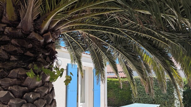 A palm tree, a blue door, and a ping pong table in a courtyard. - House of the Palm Tree (La Brée-les-Bains)