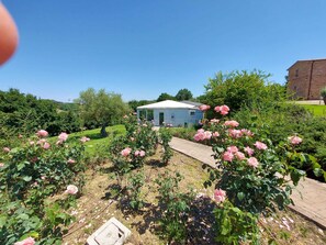 Une maison avec un jardin, un chemin et un bâtiment en briques en arrière-plan.