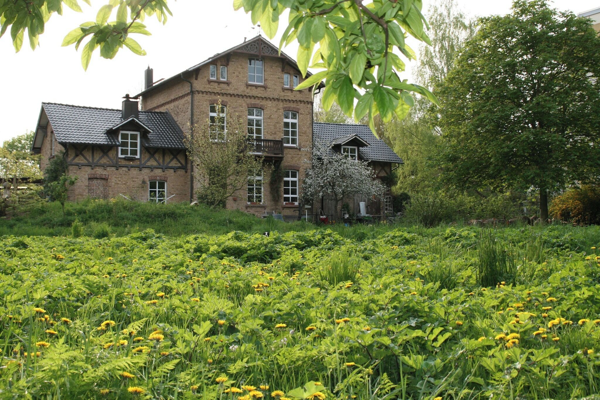 Eksteriør