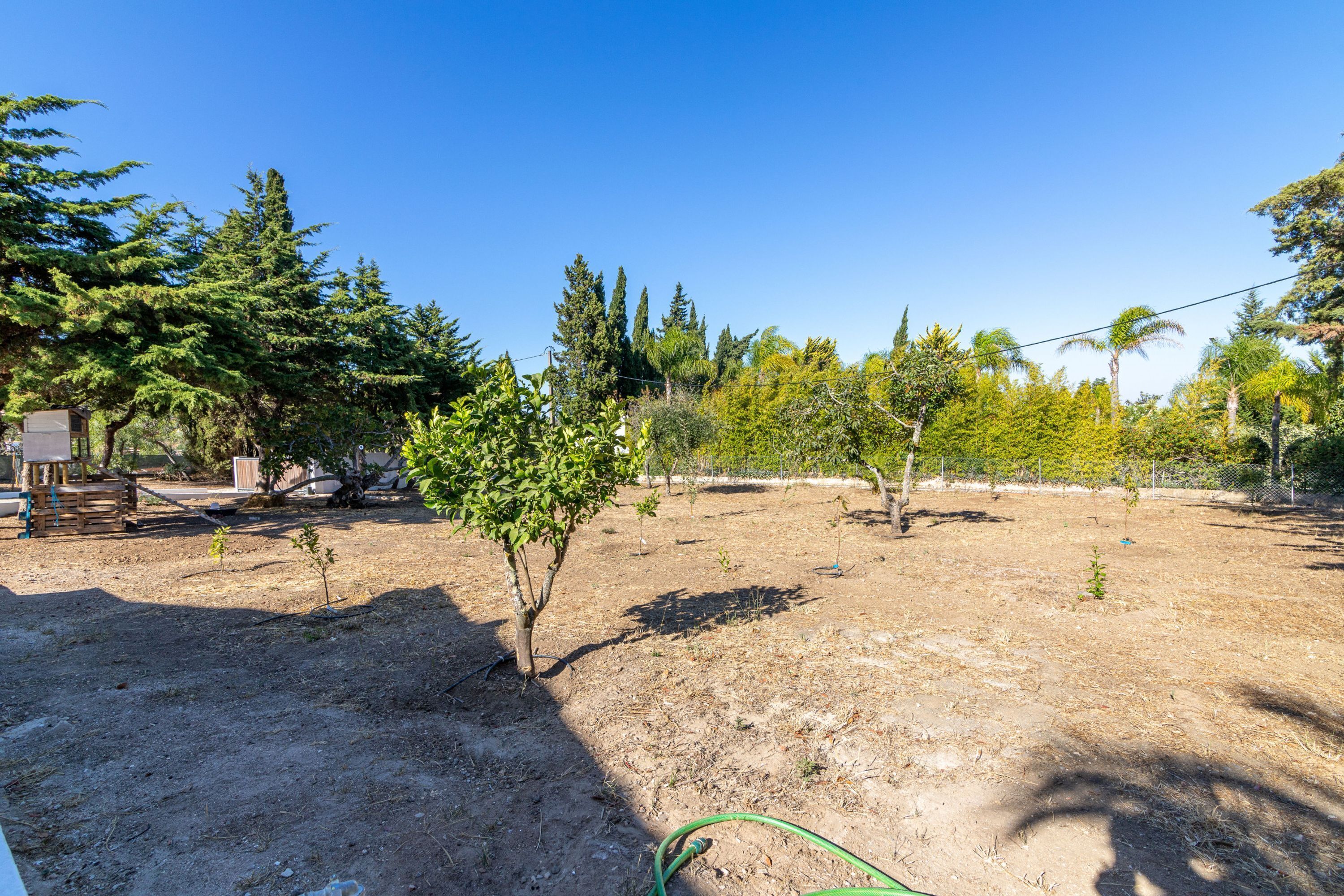 A dry, open yard with sparse vegetation, a green hose, and a wooden structure.