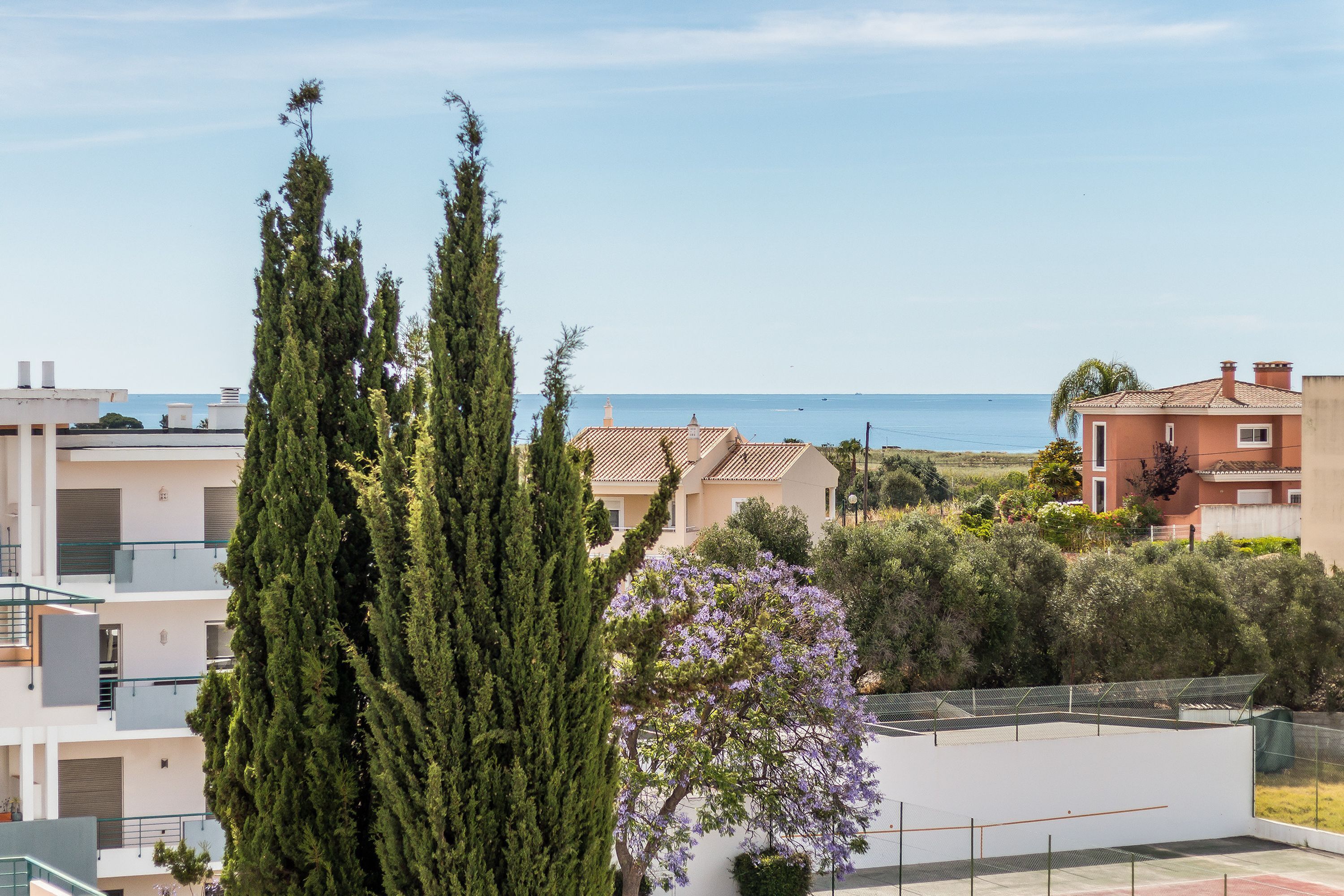A residential area with buildings, a tree, and a view of the sea.