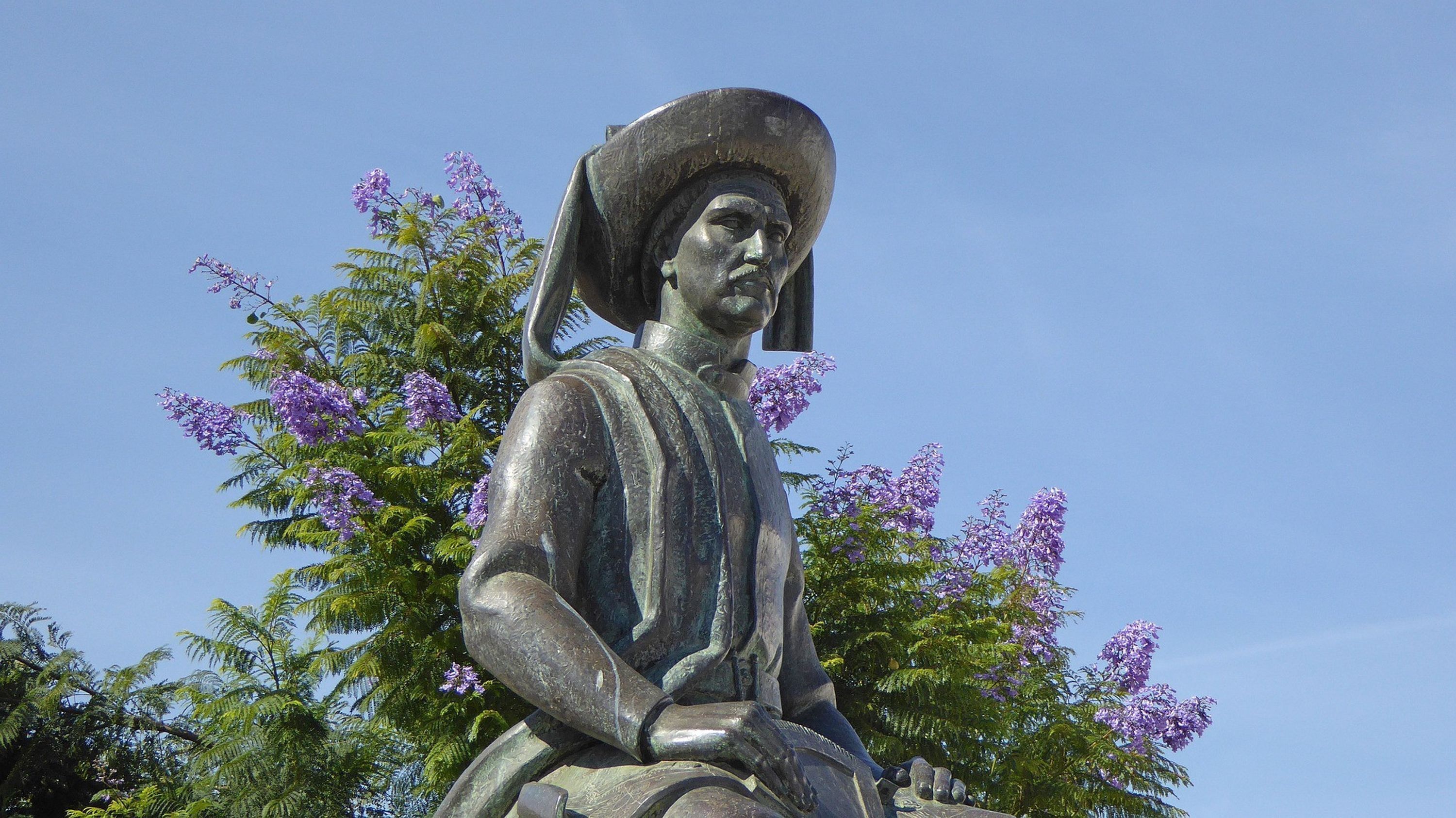 A statue of a person with a hat, surrounded by purple flowers.