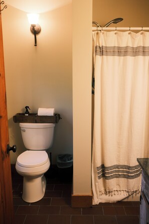 Une salle de bain équipée de toilettes, d’un rideau de douche et d’un luminaire fixé au mur.
