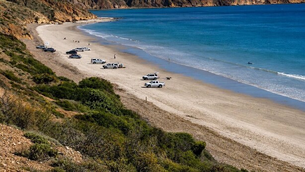 Une route côtière bordée de véhicules garés le long de la plage, qui mène à une étendue de sable.