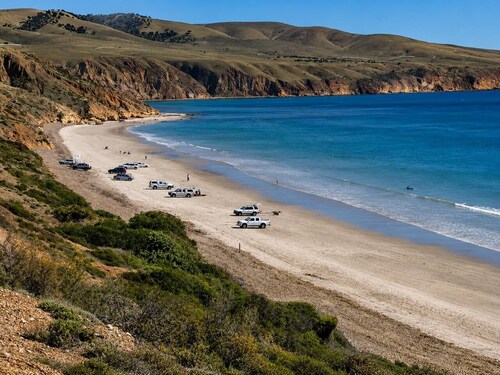 The Sellicks Perch Unique Drive On Beach Adventure