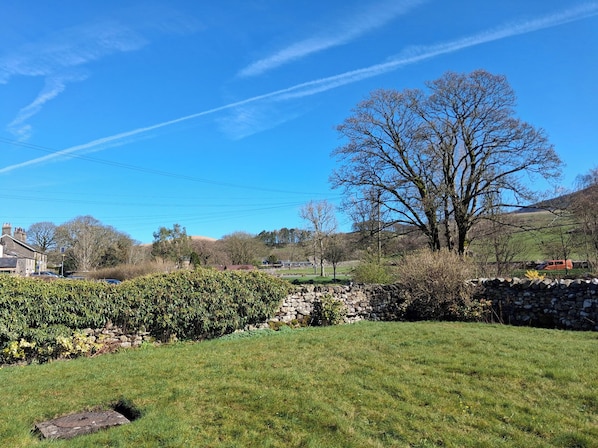 A rural landscape with a stone wall, a large tree, and a clear blue sky.