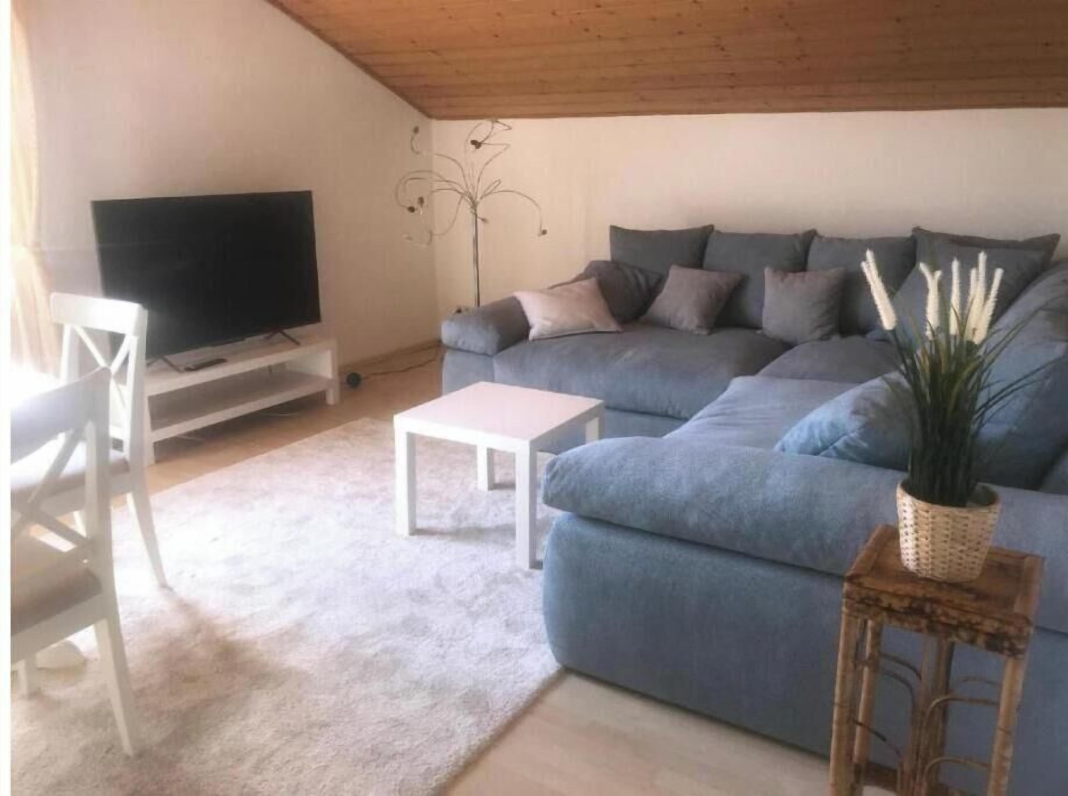 Fernseher