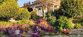 조카 B&B