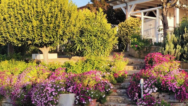 Un jardín con diversas plantas y flores, un sendero de piedra y un edificio con fachada blanca y un balcón.