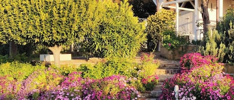 Jardin