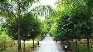 Un sendero bordeado por árboles y vegetación, que conduce a un edificio.