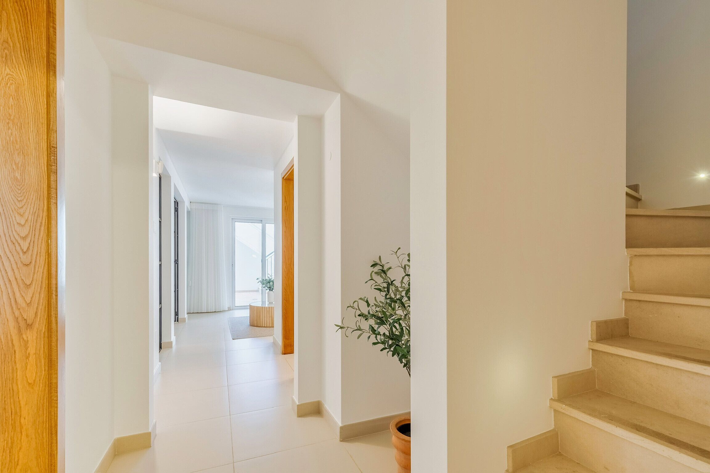A modern interior with a staircase, a hallway leading to another room, and a potted plant.