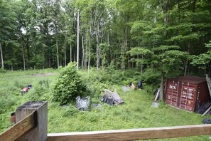 Property grounds - Backwoods Studio: 11.6ac Forest (Noblesville)