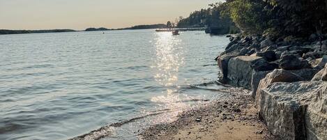 Ranta