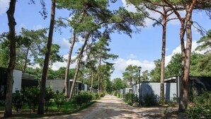Un chemin bordé d’arbres mène à une série de bâtiments modernes de plain-pied.