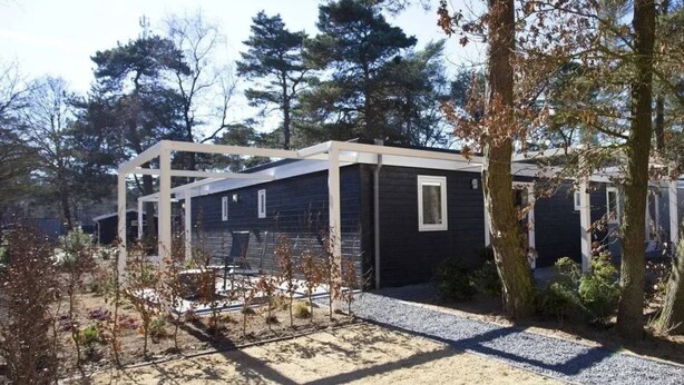 Une cabane moderne dotée d’un patio couvert, entourée d’arbres et bordée d’un chemin de gravier.
