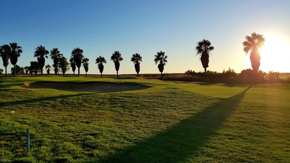 Ein Golfplatz mit blauem Himmel, Palmen und einem Sonnenuntergang im Hintergrund.