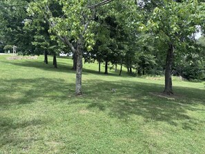Property grounds - Reindeer Crossing - Prancer Blue - 1.5 mi to HW (Dale)