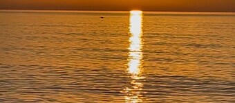 Jensen beach Beachfront Remodeled 2BR Condo |.