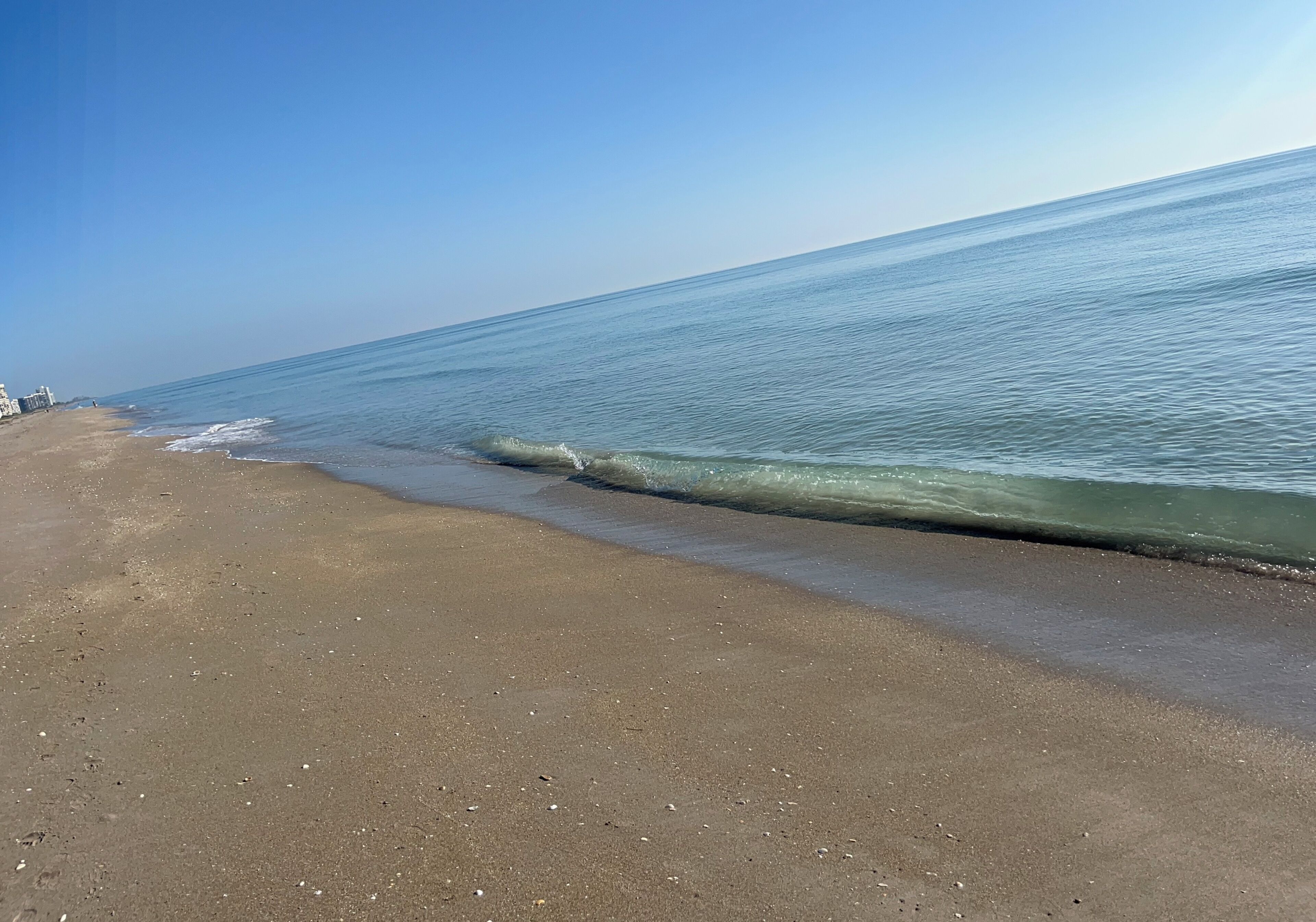 Sun-loungers, beach towels