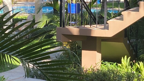Ein Poolbereich mit einer Palme, einem blauen Blumentopf und einer Treppe, die zu einer überdachten Struktur führt.
