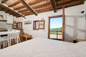 Ein Schlafzimmer mit Bett, Esstisch, Stühlen, einer Küchenzeile und einem Balkon mit Blick.