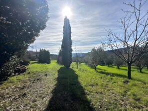 Un sentier traverse une zone herbeuse, bordée d’arbres, avec un bâtiment visible au loin.