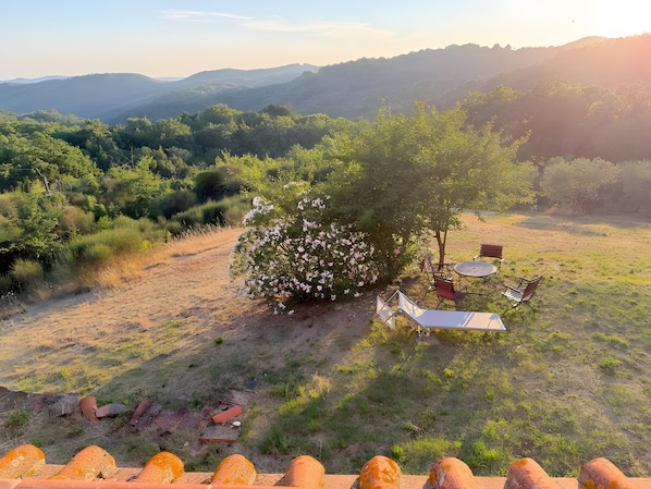 Un espace extérieur aménagé, offrant un cadre agréable avec vue sur des collines verdoyantes et un arbre aux fleurs roses.