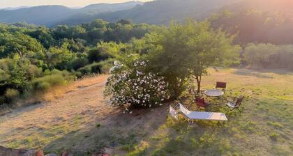 Podere Boschetto Moroni Guesthouse with Olive Grove, Sea View, Parking, and Wi-Fi
