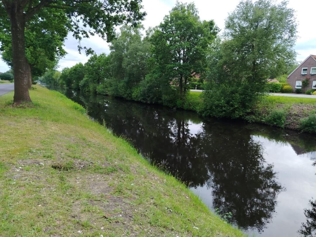 Een rustige rivier met bomen en een grasrijke oever.