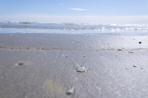 Ein Strand mit Sand, kleinen Muscheln und einem ruhigen Meer.