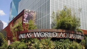 Außenansicht des Dallas World Aquarium mit einer großen Glasfassade und Beschilderung.