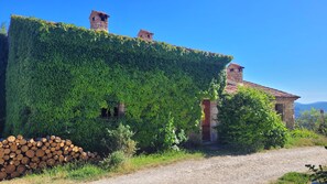Esterni