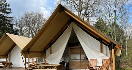 Glamping Tent Luxe 6