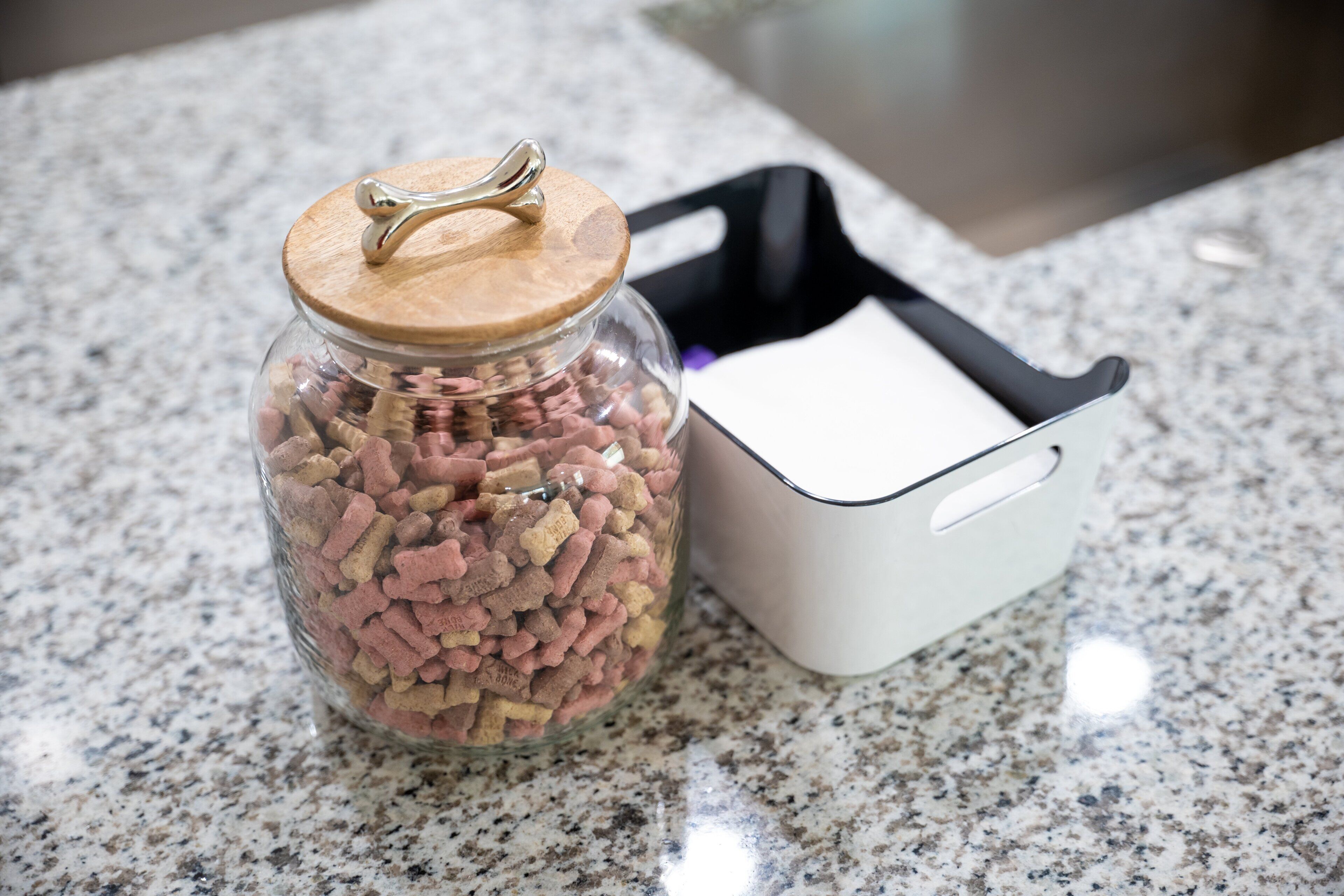 A glass jar with a wooden lid and a metal handle, filled with small, pink and beige items, next to a white container with a black handle on a granite countertop.