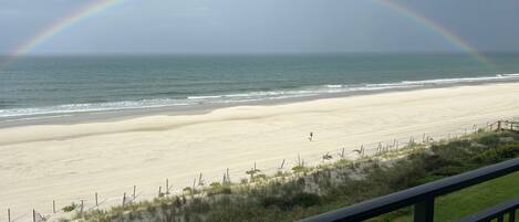 A beach with a rainbow, ocean, and a grassy area with a fence.