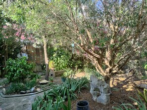 Property grounds - In a quiet area but close to the beaches and downtown (La Ciotat)