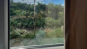 A window with a view of a garden and a clear sky. - 45 Inn (Tosor)
