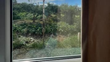 Kamer, 1 twee- of 2 eenpersoonsbedden, uitzicht op tuin | Interieur