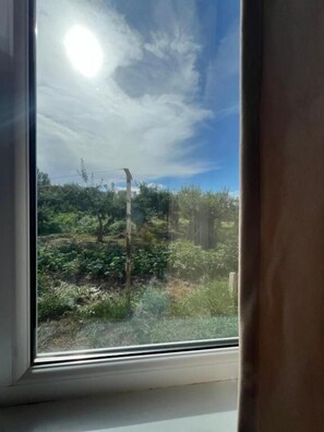 Double or Twin Room, Garden View | Interior