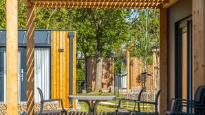 A wooden deck with a table and chairs, surrounded by a wooden fence and trees. - Holiday Home With 1 Bedroom (Berg en Terblijt)
