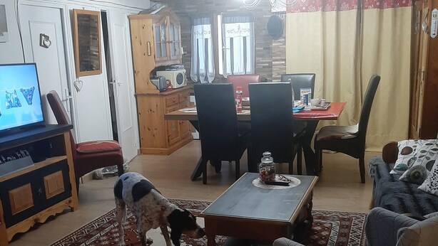 Un salon comprenant un canapé, une table basse, une table à manger avec des chaises, un téléviseur et un chien.
