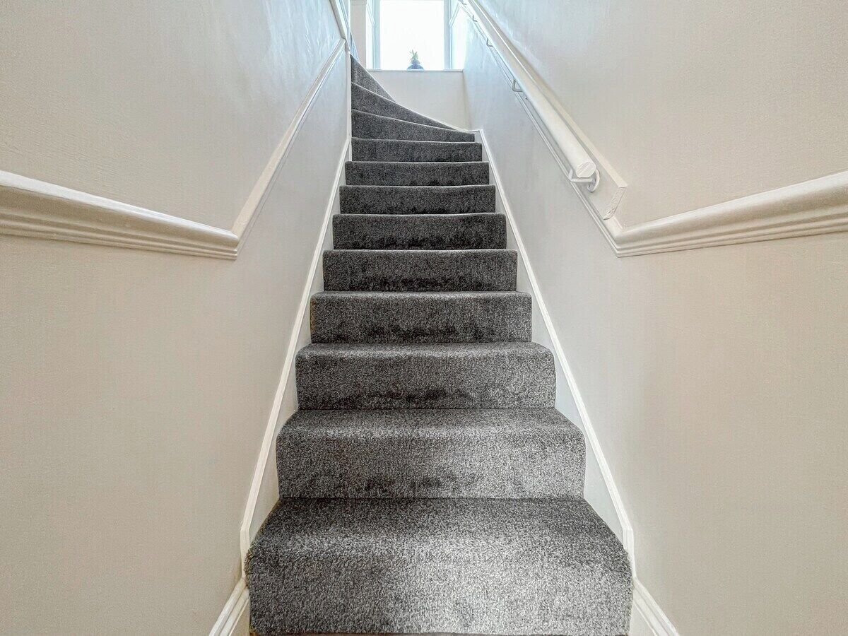 A staircase with a handrail, carpeted steps, and white wall trim.