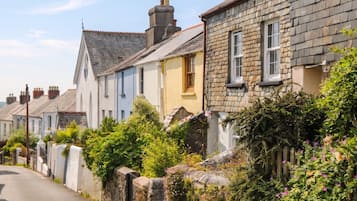 A row of traditional stone houses with a narrow street.