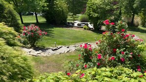 A garden with a paved area, a car, and lush greenery. - Lake Anna Waterfront Family & Pet Friendly Retreat! With 5+ BRs 4 BAs. (Spotsylvania Courthouse)