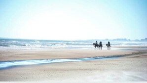 Beach - The Merry Mariner of Kiawah -100 ft to beach/boardwalk-Owner managed-sleeps 4 (Johns Island)
